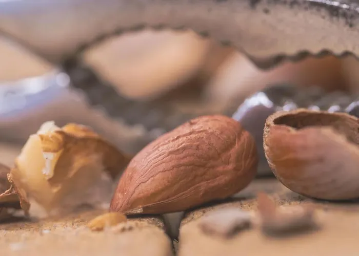 - Restaurant Les 3 Piliers 3*